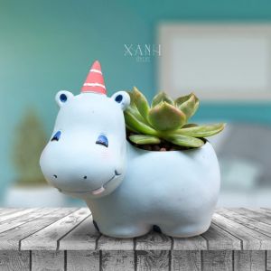 Chậu Hà Mã