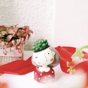 Chậu cô bé